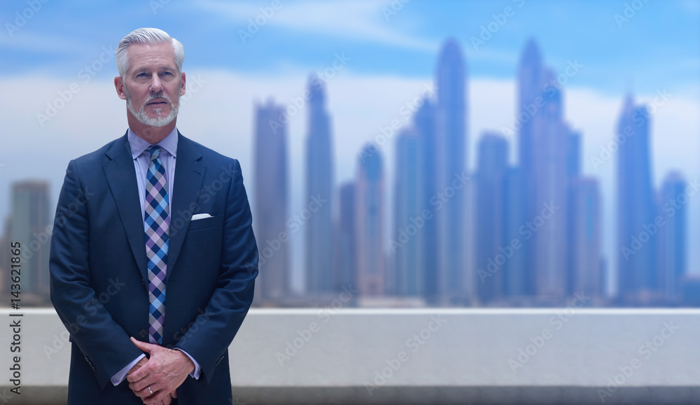 Senior businessman in front of the big city Senior businessman in front of the big city