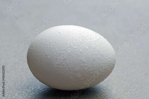 Egg