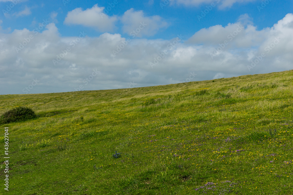 Seven Sisters Seven Sisters