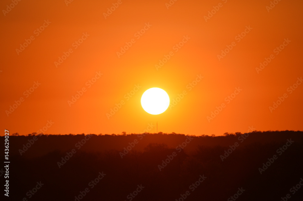 A African Sunset at Kruger Park South Africa A African Sunset at Kruger Park South Africa