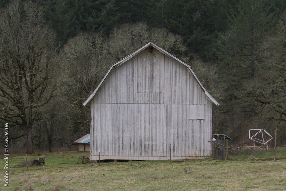 Old Grey Wooden Barn in the Country - Composition center frame, mid-ground viewpoint - Use Barn Area for Copy Overlay with or without text box (HDR Image)