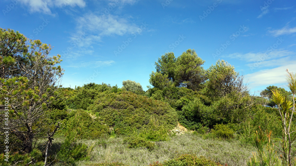 green algarve landscape