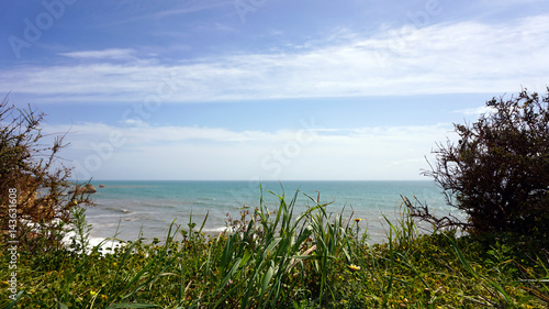 wild landscape in portimao