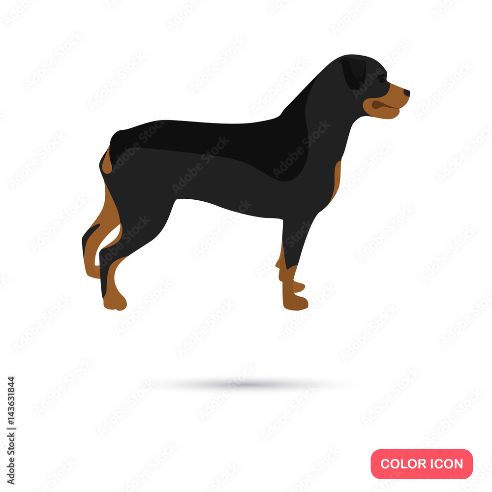 Rottweiler dog color flat icon for web and mobile design