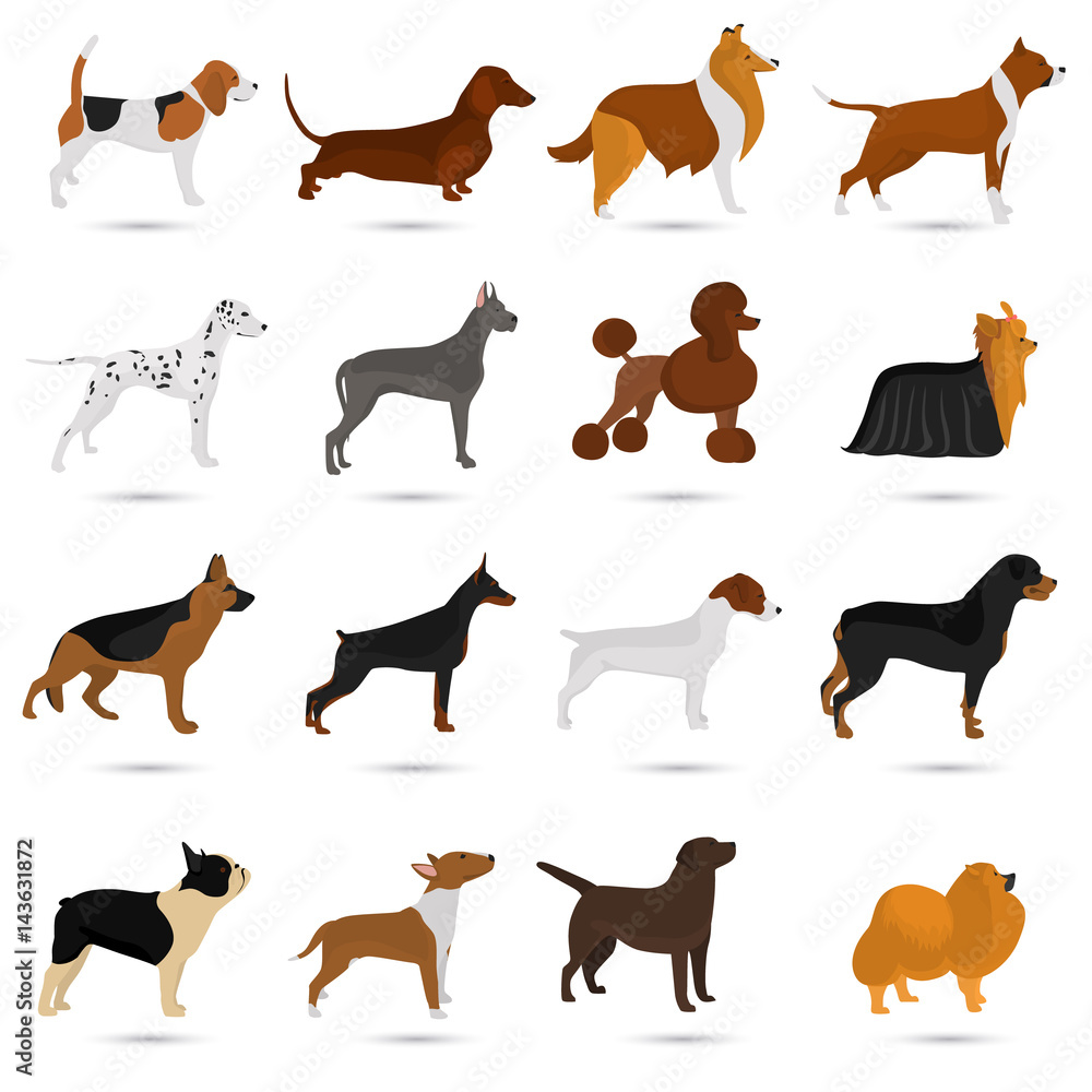 Seth of different breeds of dogs color flat icon s for web and mobile design