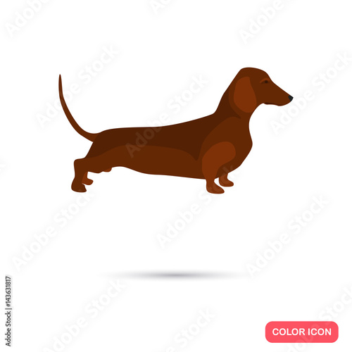 Dachshund dog color flat icon for web and mobile design