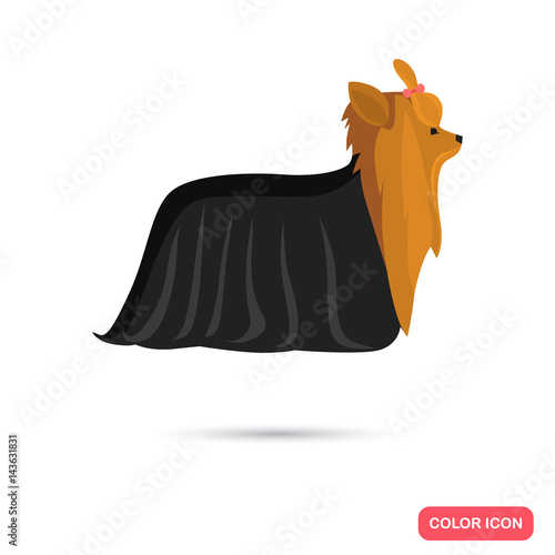 Yorkshire terrier color flt icon for web and mobile design