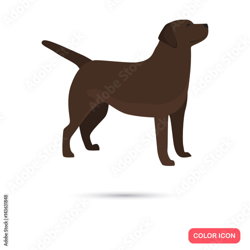 Labrador color flat icon for web and mobile design
