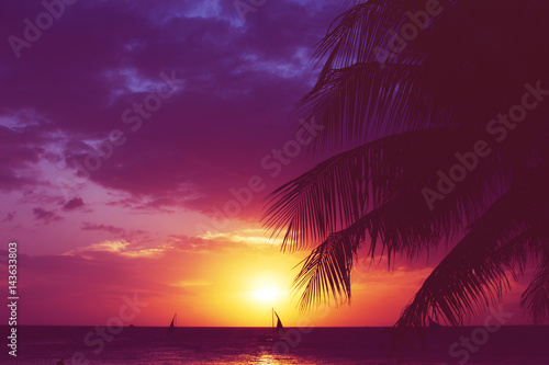 Silhouette palm tree sailboats sunset faded filter