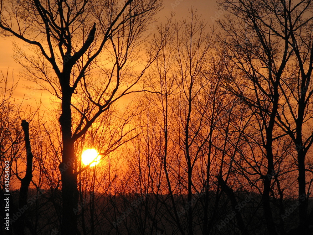 Naklejka premium Sunsets
