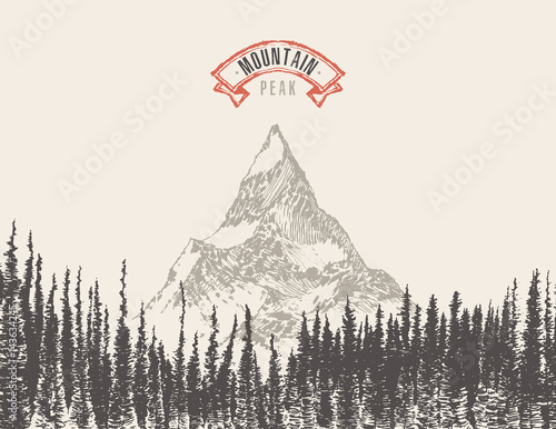 Vector mountain peak pine forest hand drawn