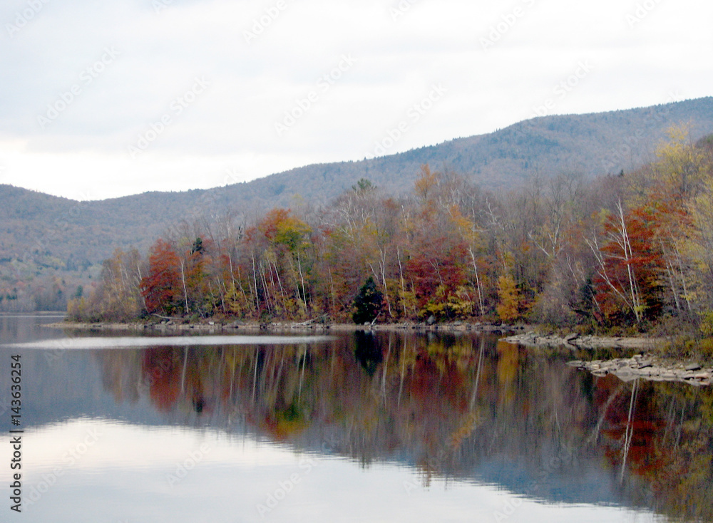 Fototapeta premium Fall