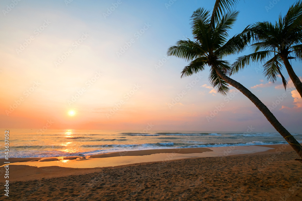 The landscape of tropical beach with palm tree in the sunrise. Beautiful nature and calm.