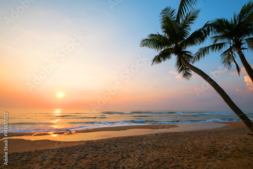 Fototapeta Naklejka Na Ścianę i Meble -  The landscape of tropical beach with palm tree in the sunrise. Beautiful nature and calm.