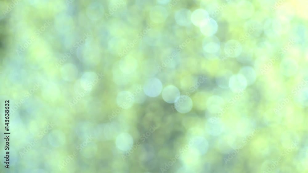 natural green leaves background natural green leaves background