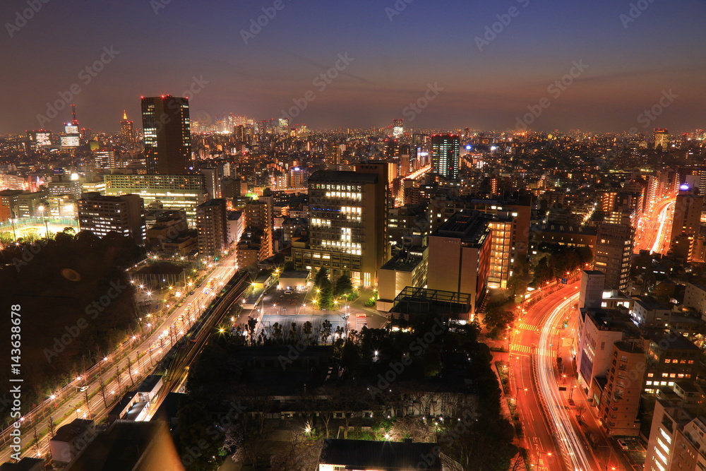 Obraz premium Tokyo night view