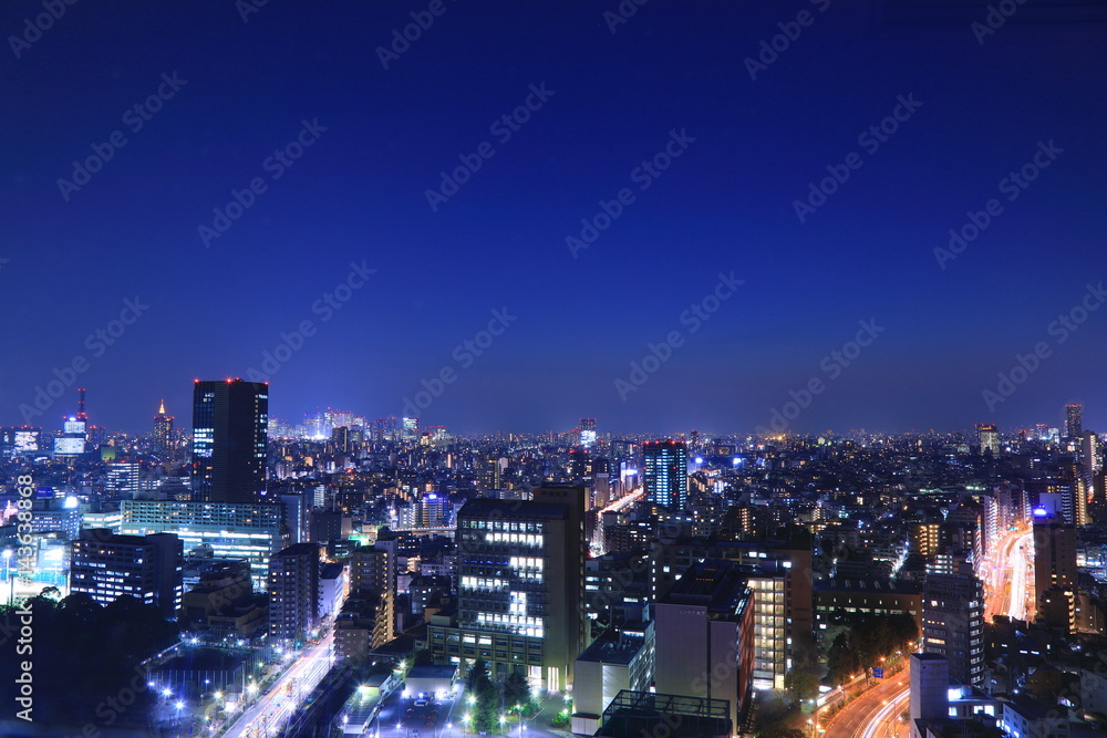 Obraz premium Tokyo night view
