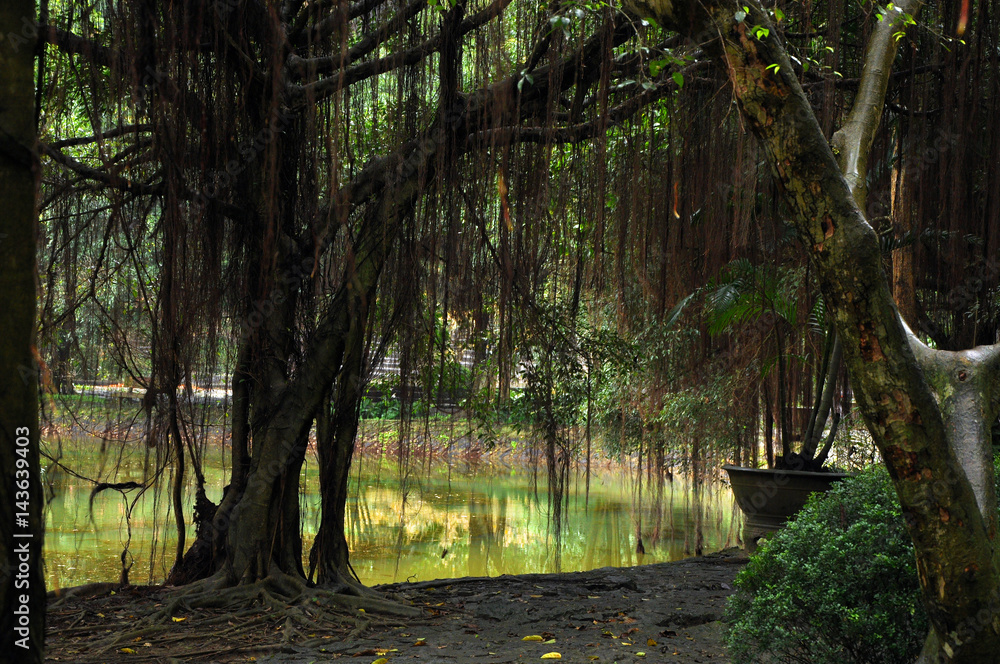 Lake near the Hang Mua pagoda. Ninh Binh, Vietnam