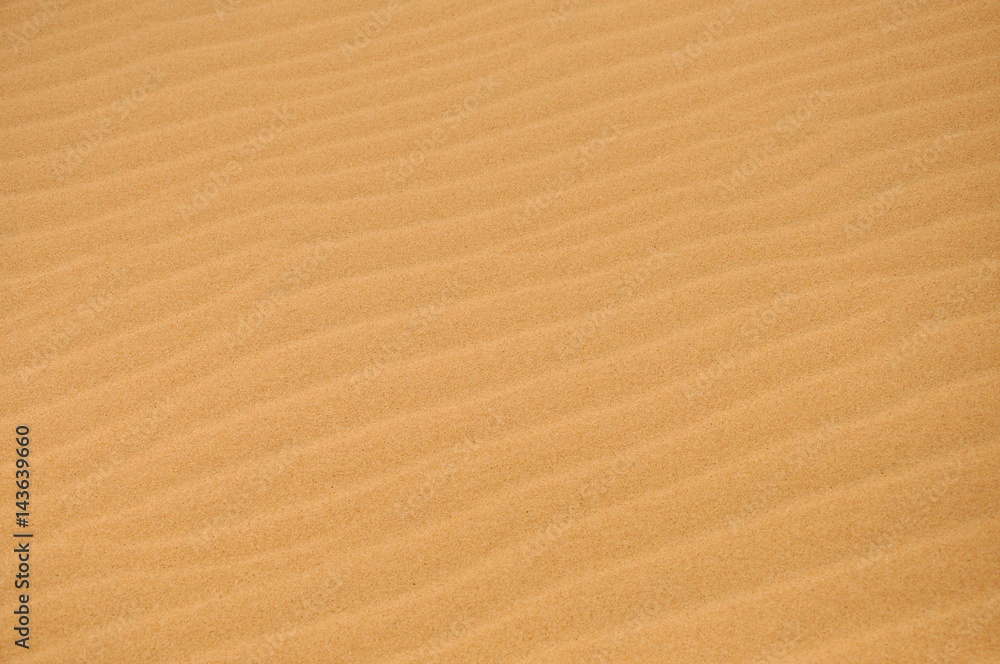 Sand dunes in the desert Sand dunes in the desert