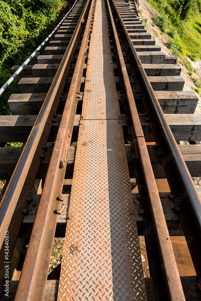 Fototapeta premium Railway bridge