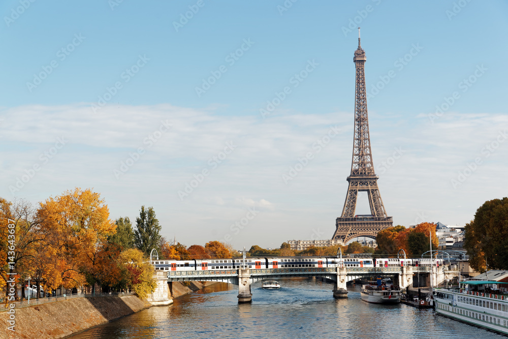 Fototapeta premium tour Eiffel ,île aux cygnes et train de banlieue