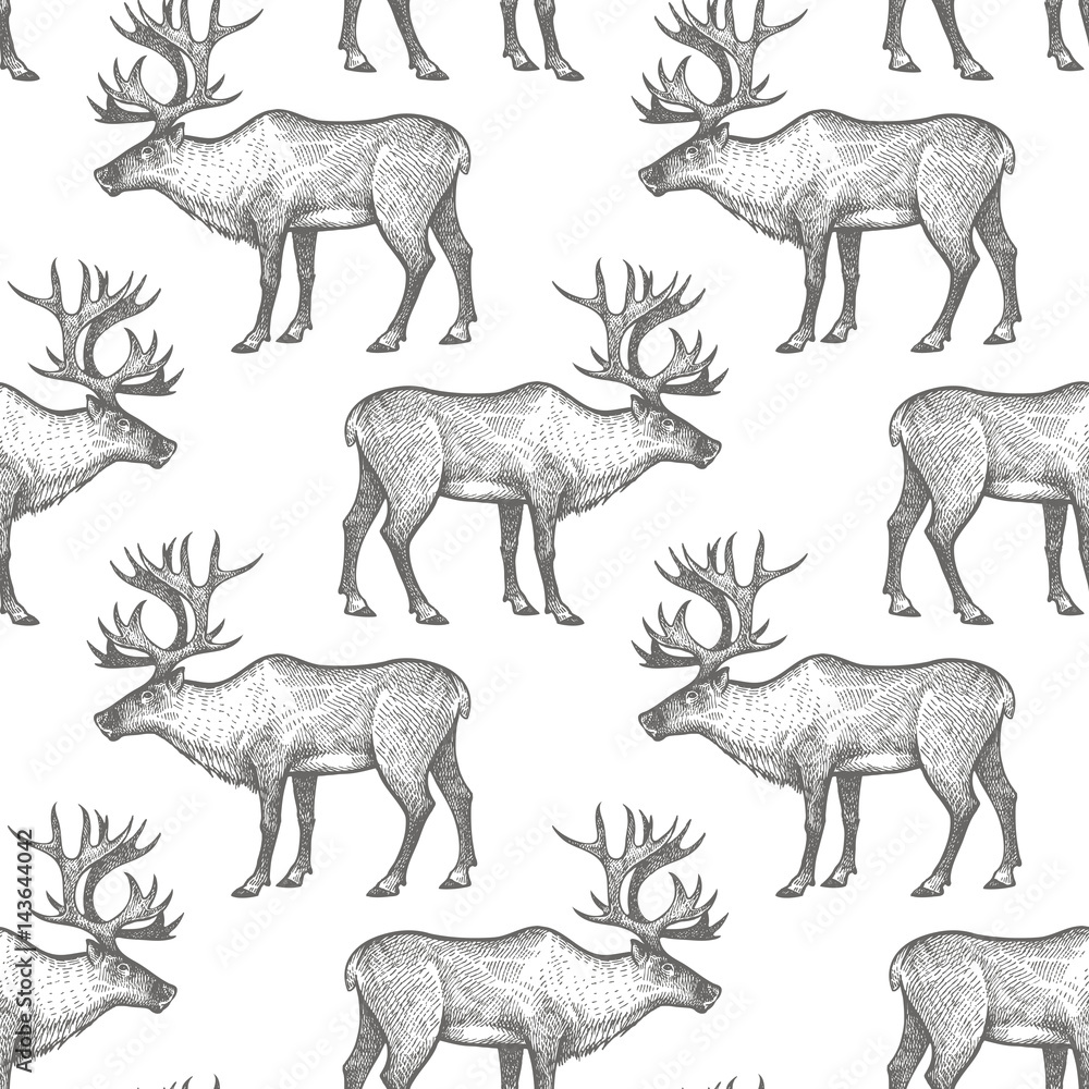 Obraz premium Seamless pattern with Reindeer.