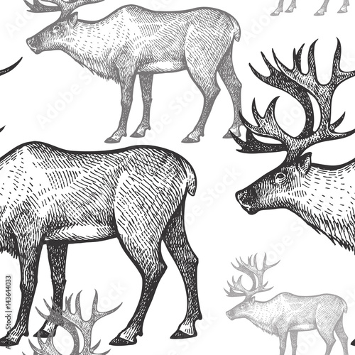 Seamless pattern with Reindeer.