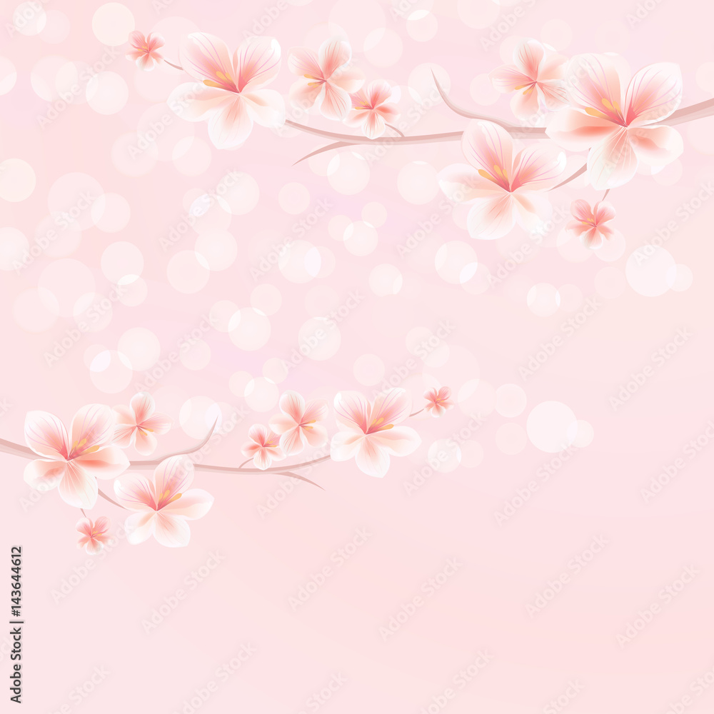 Flowers background. Flowers design. Vector abstract illustration. Sakura blossoms. Branch of sakura with flowers. Cherry blossom branch on pink. Vector 