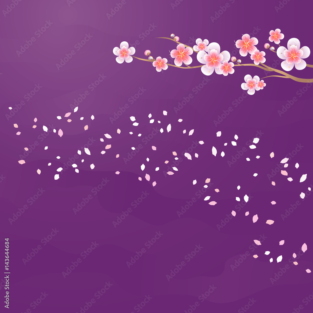 Branch of Sakura and petals flying isolated on dark purple violet background. Apple-tree flowers. Cherry blossom. Vector 