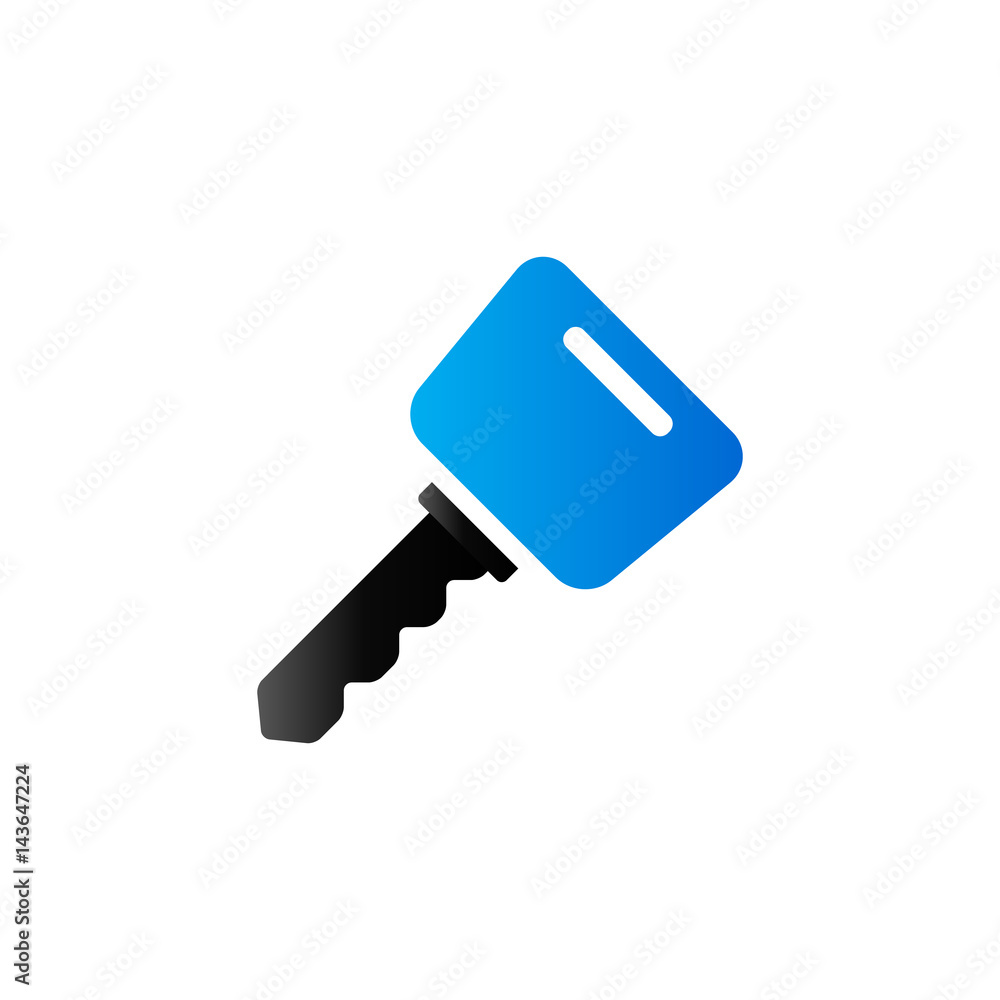 Duo Tone Icon - Key Duo Tone Icon - Key