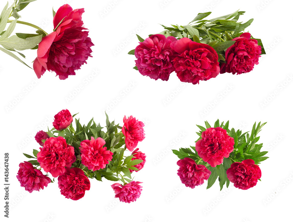 Set the beautiful bouquet of pink peonies Set the beautiful bouquet of pink peonies