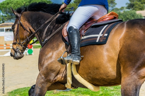 Equitation, saut d'obstacles, compétition. © Bernard GIRARDIN