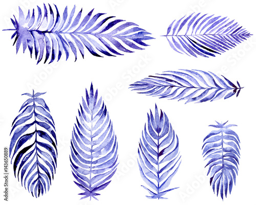 Fototapeta Naklejka Na Ścianę i Meble -  Hand drawn collection with blue palm leaves, drawn with purple and blue watercolor and brush. Plant set, isolated on white background. Leaves in different sizes and shapes. Large raster illustration