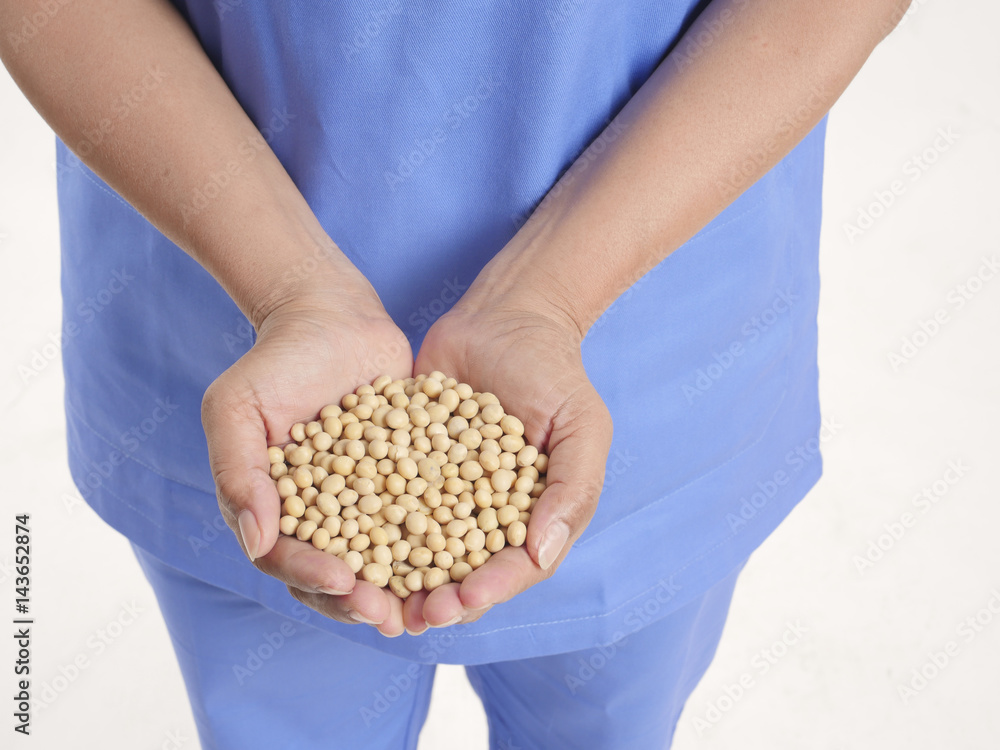 Hands holding a pile of soybeans on white background Hands holding a pile of soybeans on white background