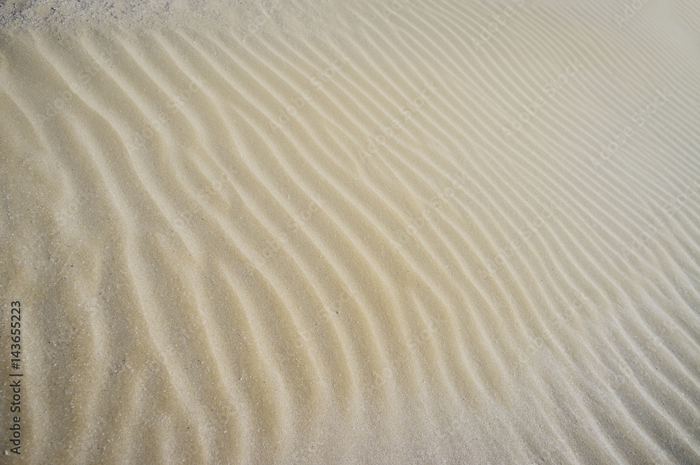 Fototapeta premium Beach sand texture. Color image