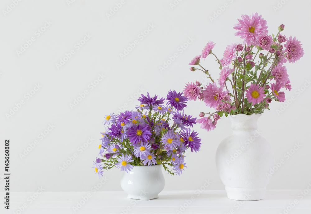 flowers  in ceramic vases on white background