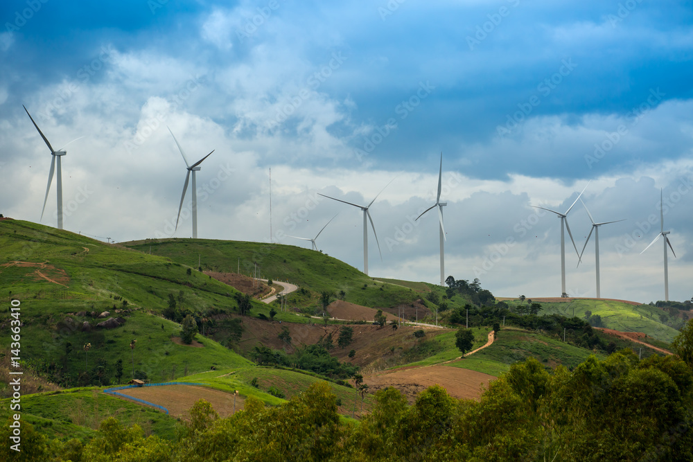 Wind Mill Wind Mill