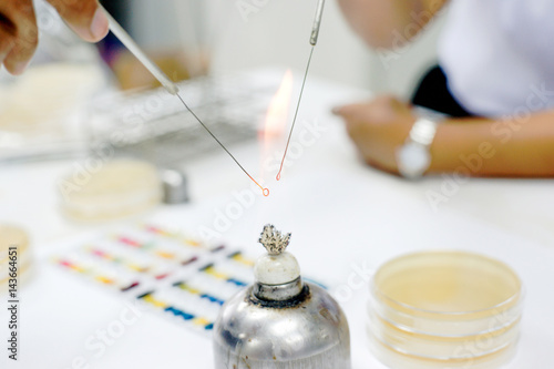 Fotografija Microbiologist burn loop, Aseptic technique.