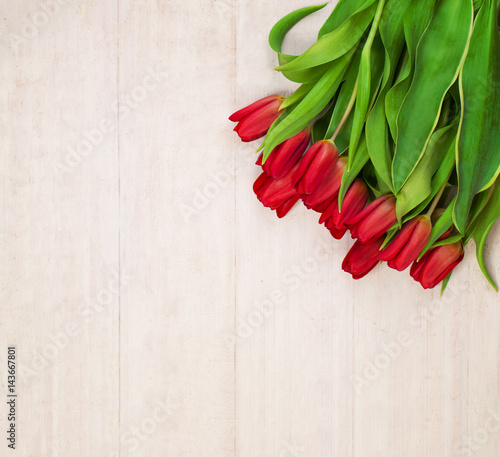 Bild auf Leinwand Spring Flowers Background with Netherlandish Tulip Flowers