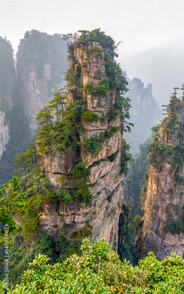 Rock column mountain (Avatar rocks). Zhangjiajie National Forest Park ...
