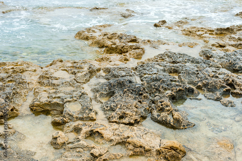 the sharp coastal rocks