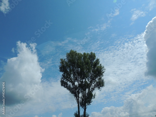 Sky