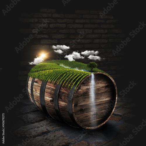 Sunny vineyard on the wine barrel in dark cellar