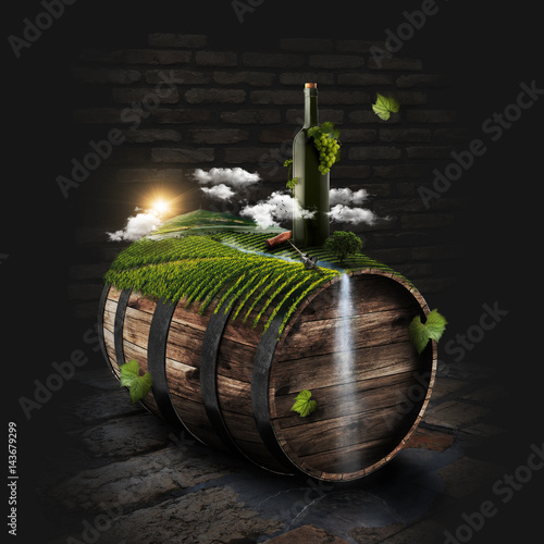 Sunny vineyard on the wine barrel in dark cellar