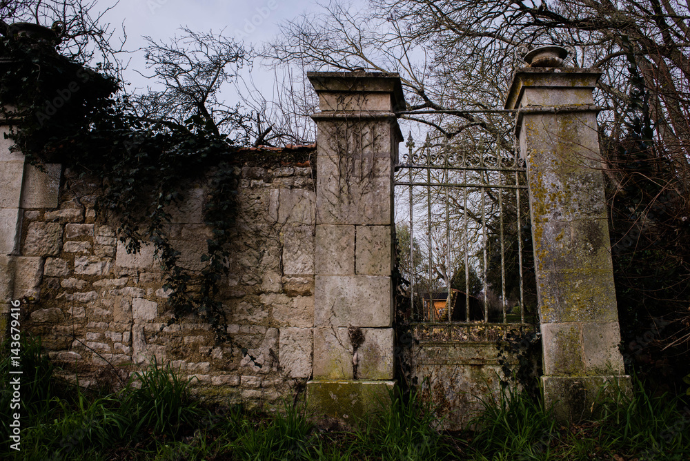 Fototapeta premium the gate