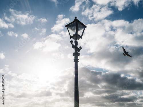 Bird street lamp