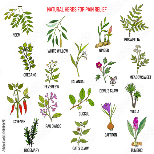 Best natural herbs for pain relief.