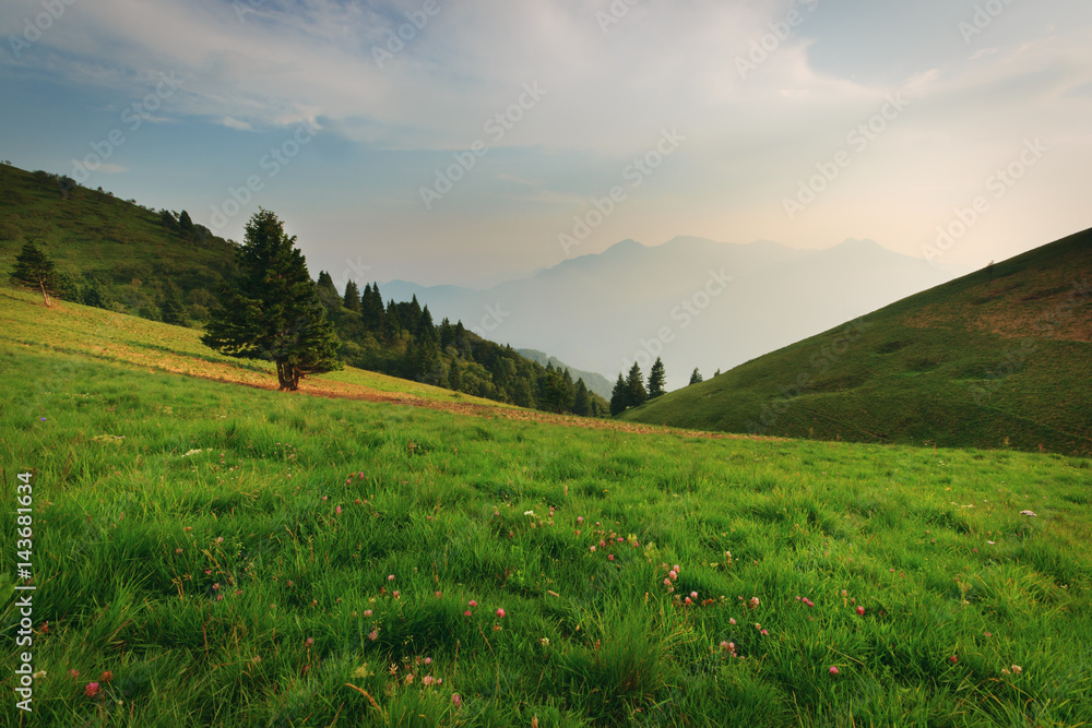 Obraz premium Above the Alpe di Ledro, Trentino, Alps, Italy