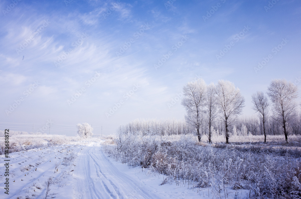 Obraz premium Snowy landscape