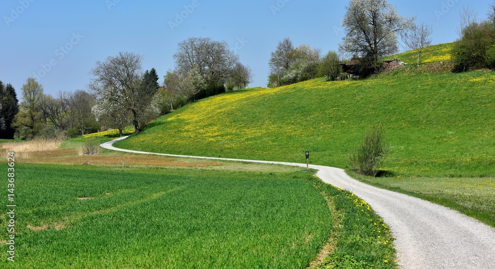 printemps printemps